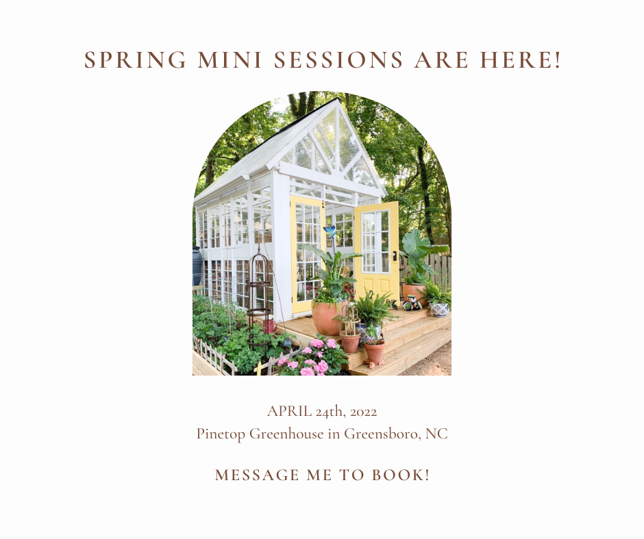 Spring mini sessions in Greensboro, NC with Brooke Grogan Photography. 