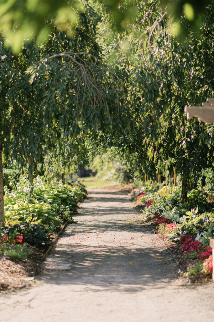North Carolina photographer captures the beauty of Reynolda Gardens