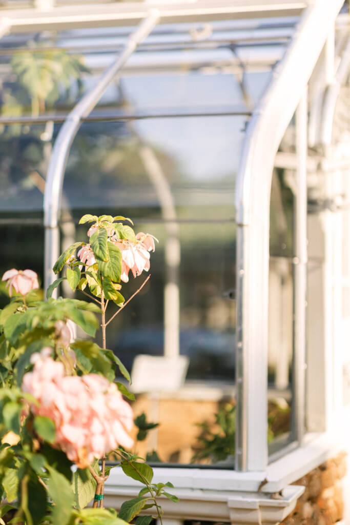 North Carolina photographer captures the beauty of Reynolda Gardens